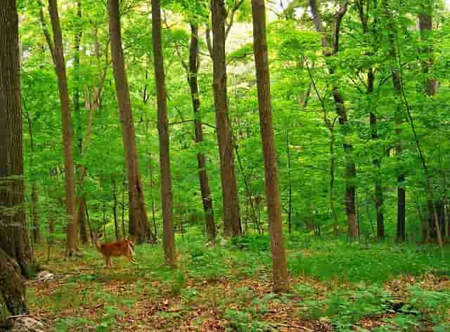 三原中考成绩出来了吗