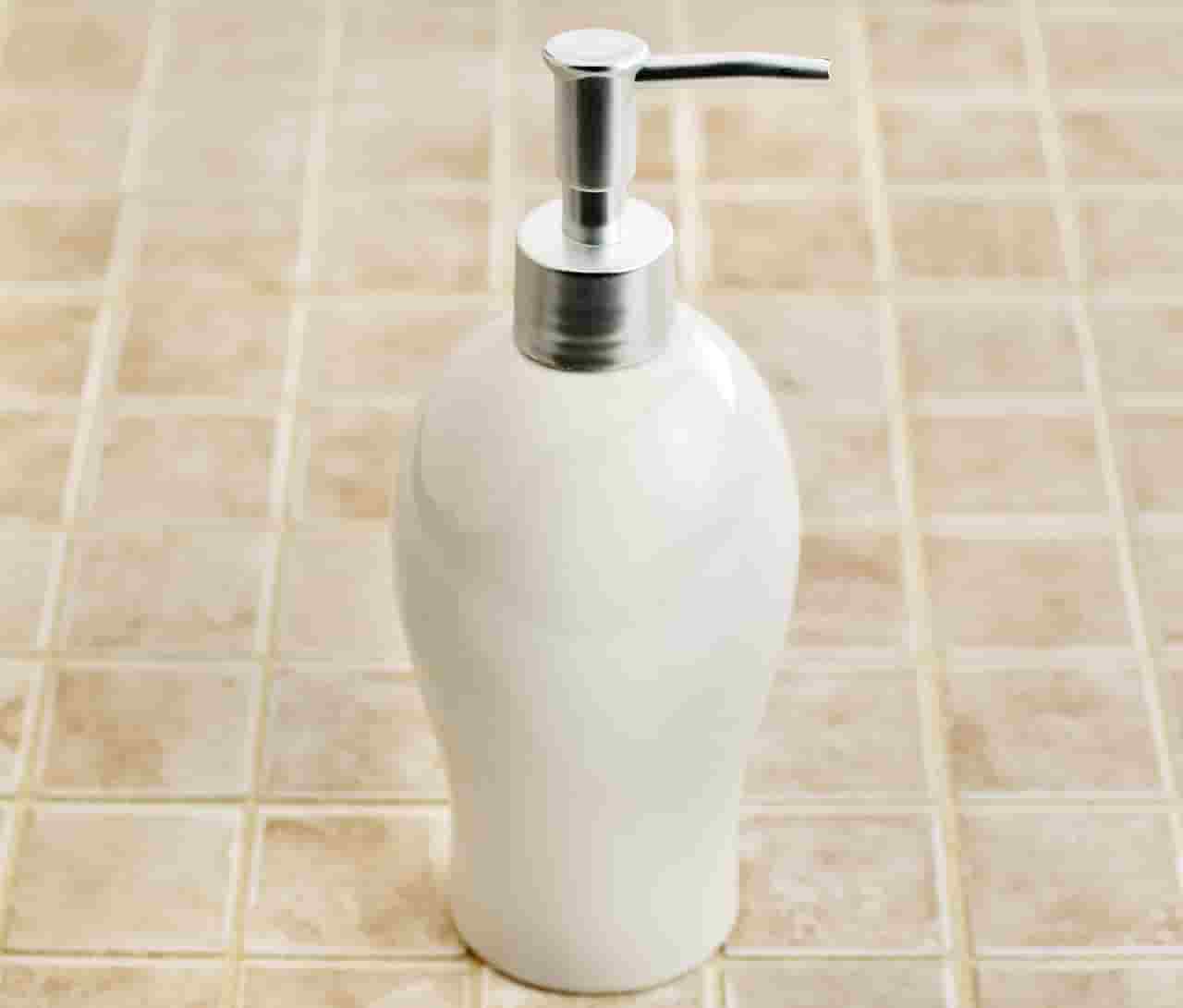 挺势力用日语翻译