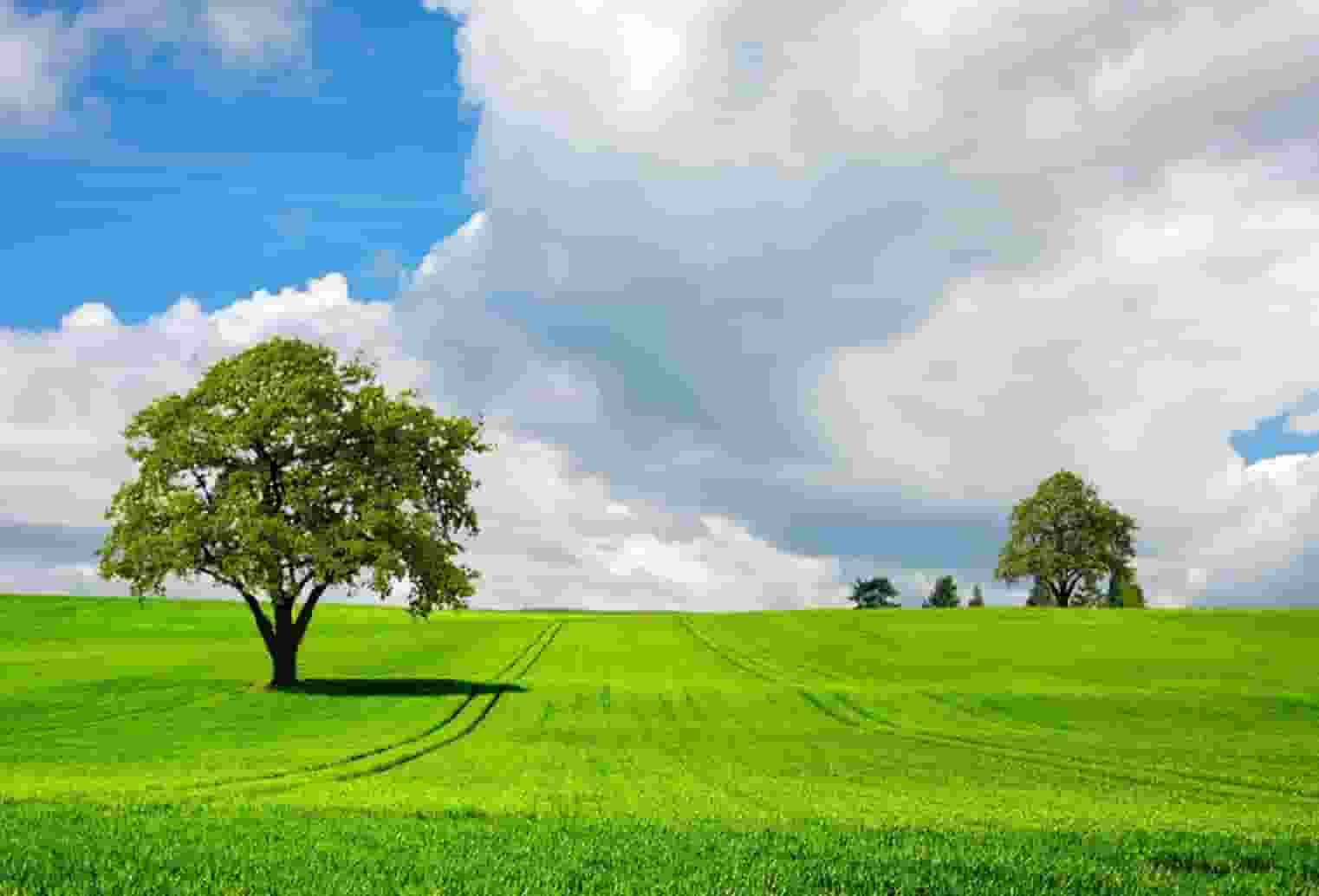 袖虎病猫攻略：小心换粮会软便！