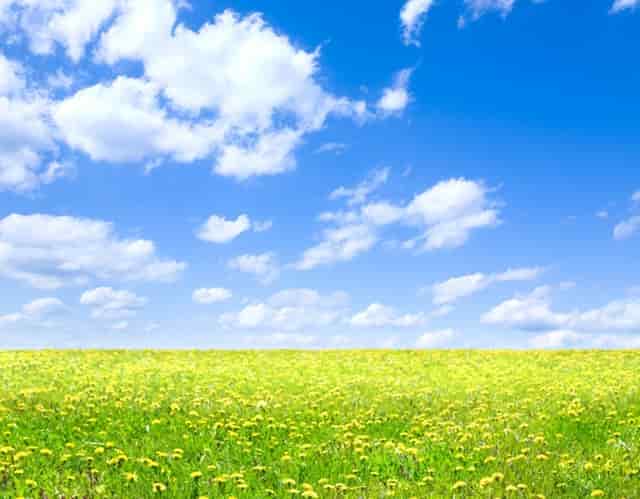 realme gt大师版样张