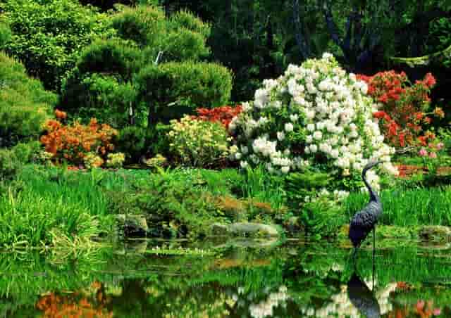 靶向药新星·拉罗替尼不限癌种（Larotrectinib，LOXO-101）