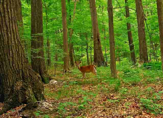 股权抵押多少合适