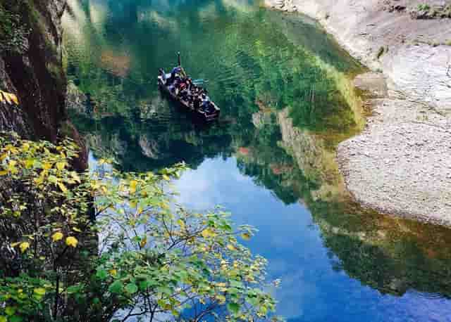 袖虎强烈建议，猫咪练胆要趁早