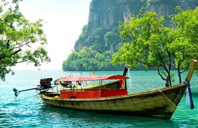 袖虎经验，让猫快速信任你！