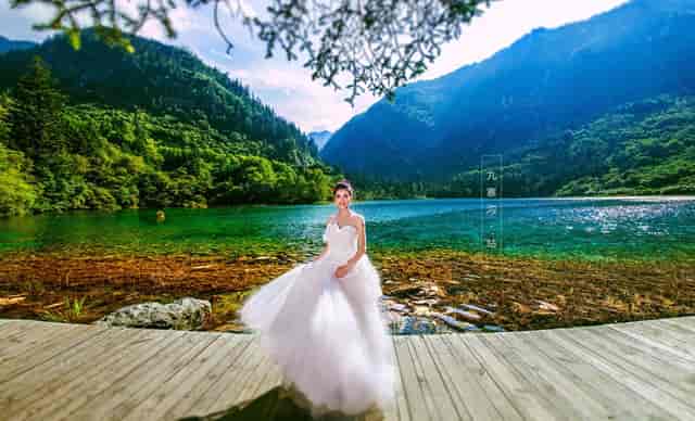 袖虎病猫攻略：猫反复长跳蚤是为什么？