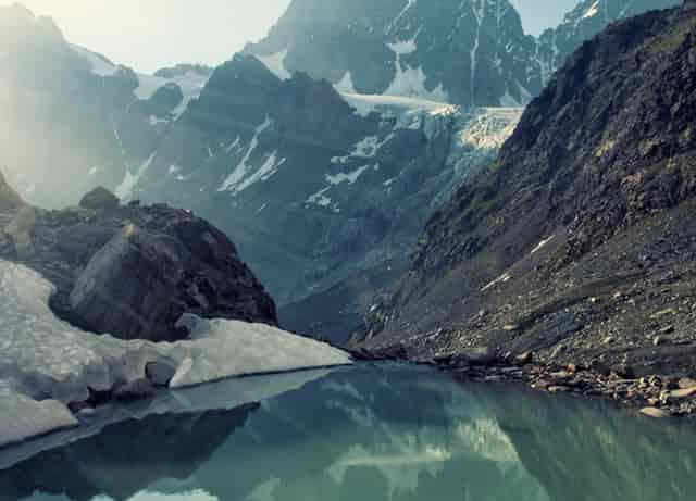 学点“猫咪心理学”，袖虎很靠谱