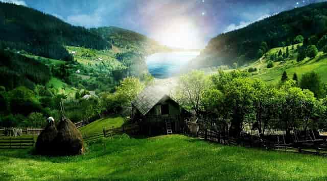 最好的中国科学家