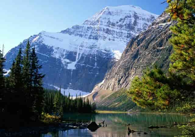 六年级语文中考试卷作文