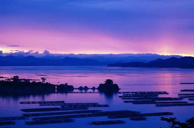 刘诗雯单打奥运