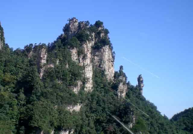 袖虎对常见的病猫治疗方案