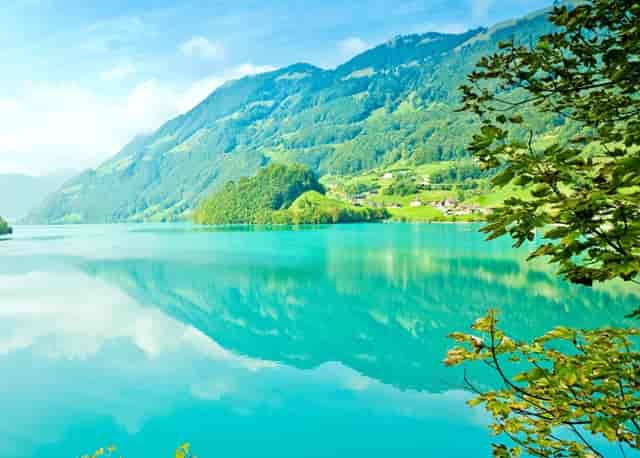 是中国创新药不行吗？