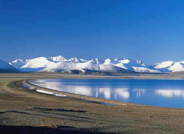 三针的新冠疫苗效果