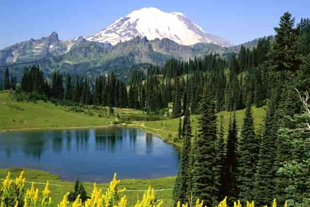 西比曼双靶点CAR-T产品C-CAR039国内IND申请正式获批