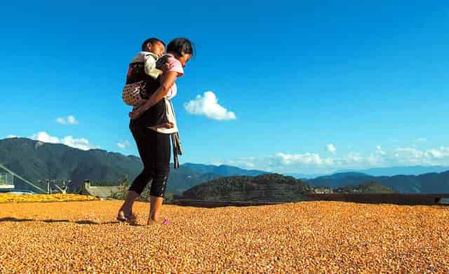 重庆九龙坡华岩风景区门票
