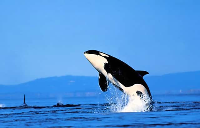 2021年昆三中高考