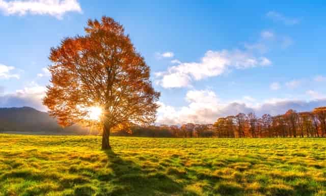 预防溺水安全教育落实