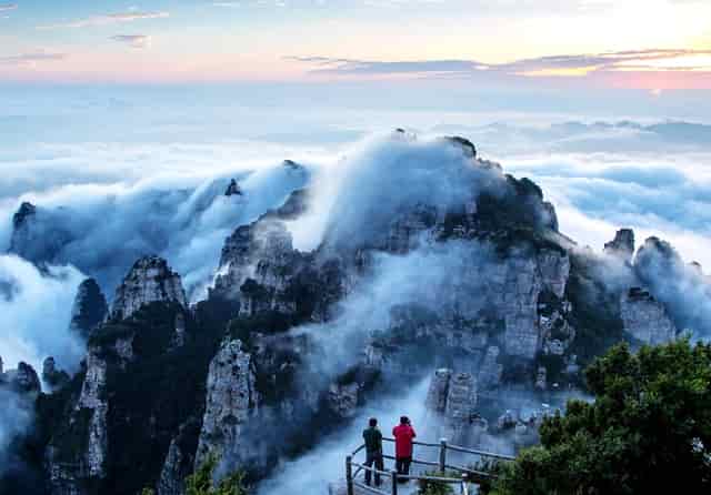蔡嘉珍成功獲得註冊理財規劃師資格