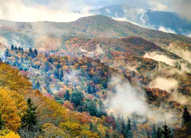 西比曼生物科技正式启用全新英文标识“AbelZeta