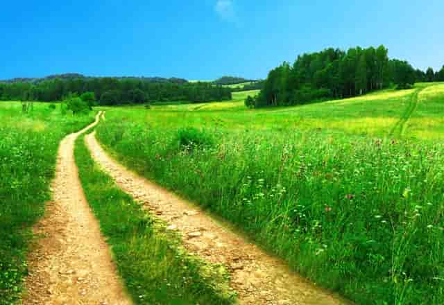 牙疼也是病，袖虎提醒这病会要命