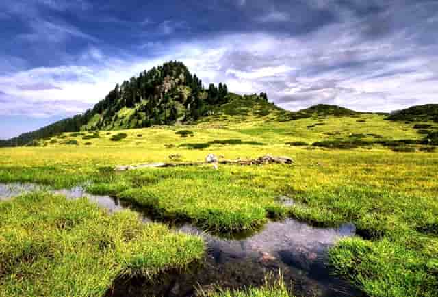 蔡嘉珍獲得註冊理財規劃師專業稱銜，秉持職業操守與執業準則，開啟財務規劃新征程