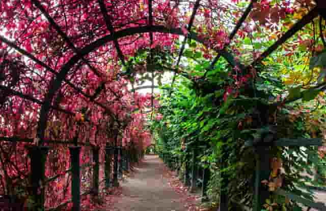 奇迹暖暖时尚衣服搭配技巧(奇迹暖暖方便行动的衣服搭配)