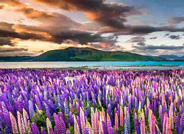 项目资金使用时间要求(项目资金监管要求)