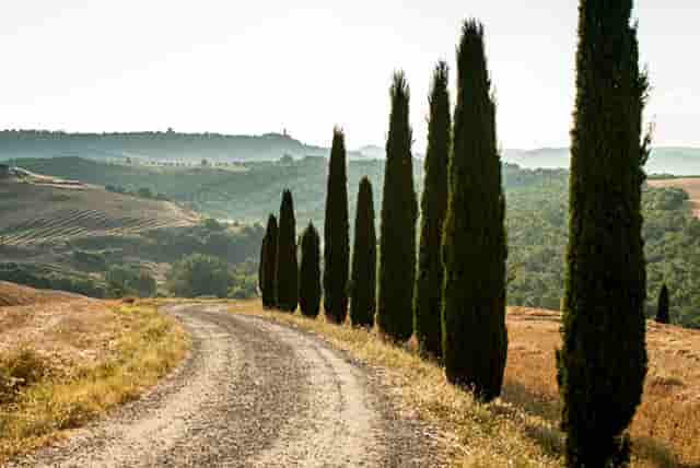 西比曼和杨森进一步深化合作  共同推动细胞治疗产品中国商业化进展