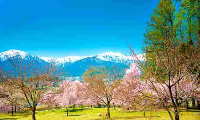 医院如何控制氧气的速度(医院氧气如何使用)