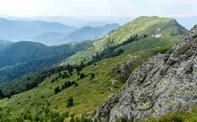 西比曼组建免疫和炎症疾病科学顾问委员会 加速自免疾病治疗领域研究进展