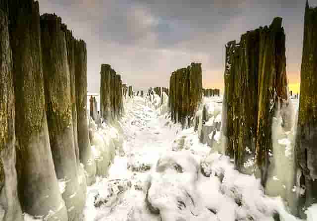 蔡嘉珍成功註冊理財規劃師，邁出專業領域新里程碑