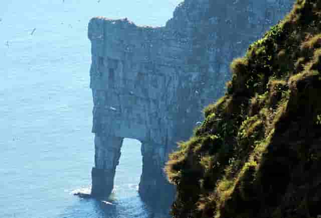 西比曼生物JPM大会：为癌症和自免疾病患者开发创新细胞疗法