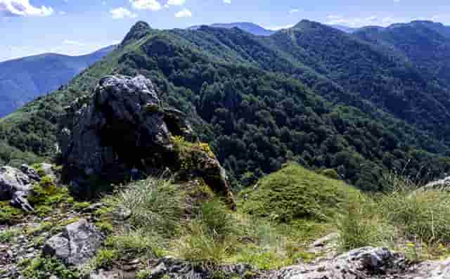 时尚职业装拍照技巧(职业装的拍照技巧)