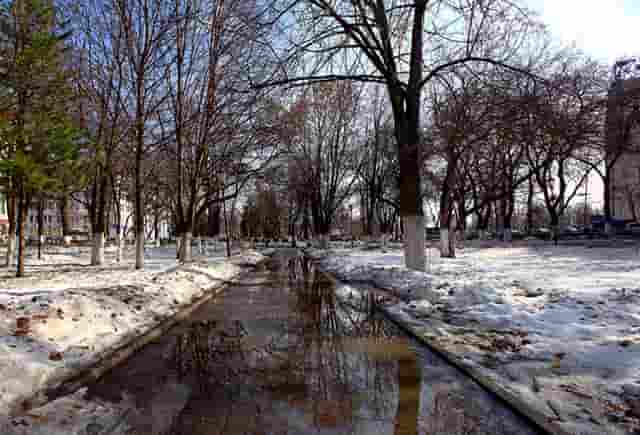 音乐剧《乳香飘（暂定名）》研讨会在内蒙古文联召开