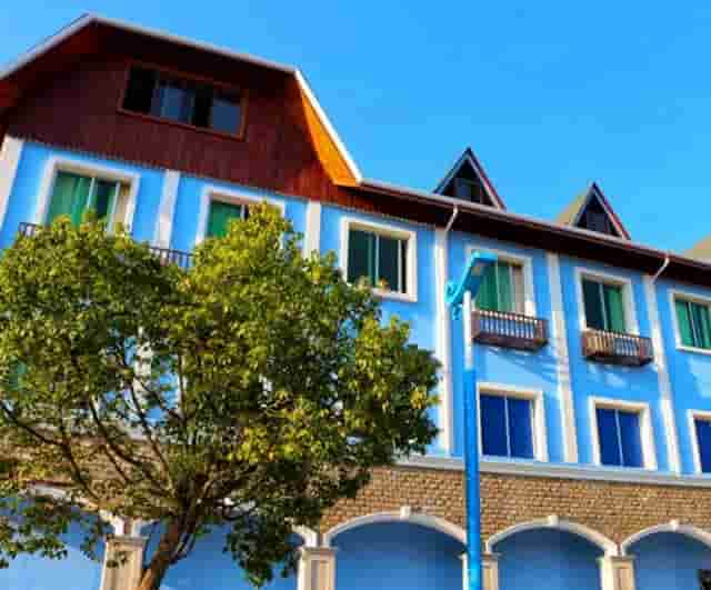 袖虎病猫攻略：猫咪发情会持续多久？