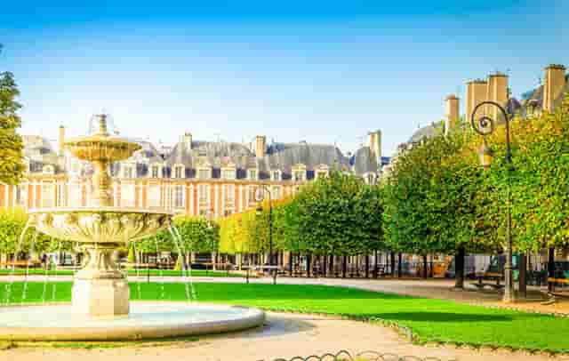 袖虎病狗攻略：狗狗白内障的三大症状？