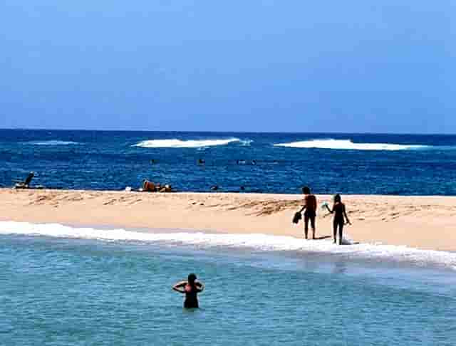 本土多少天没有新增确诊了(北京多少天没有本土新增了)