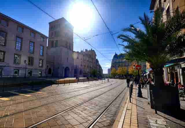 袖虎病猫攻略：猫咪嘴肿怎么办？