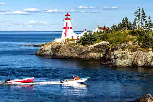 时尚手环小技巧(oppo手环时尚版价格)