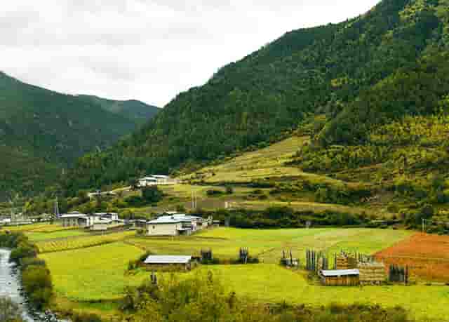 西比曼生物TIL疗法C-TIL051获FDA批准临床，针对非小细胞肺癌